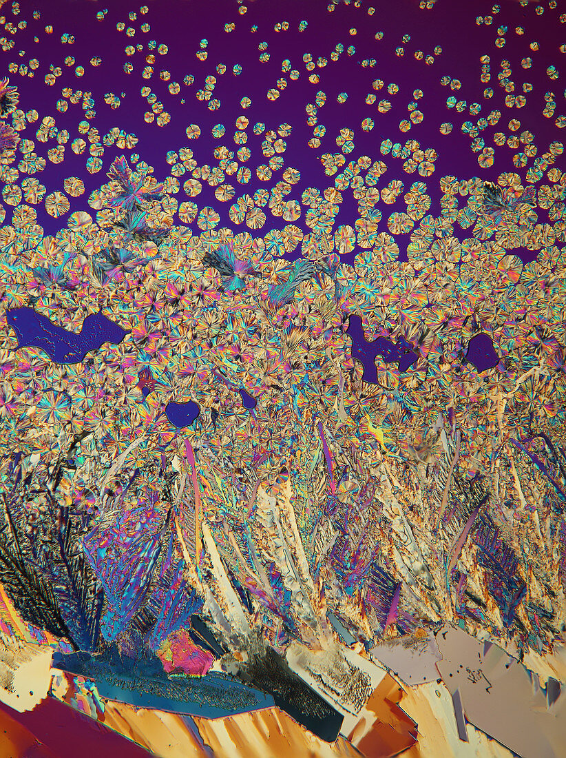 Nickel nitrate crystals, polarised light micrograph