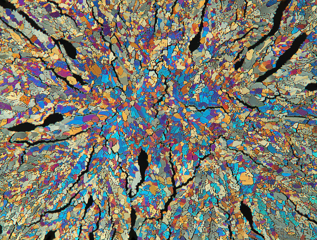 Nicotinic acid crystals, polarised light micrograph