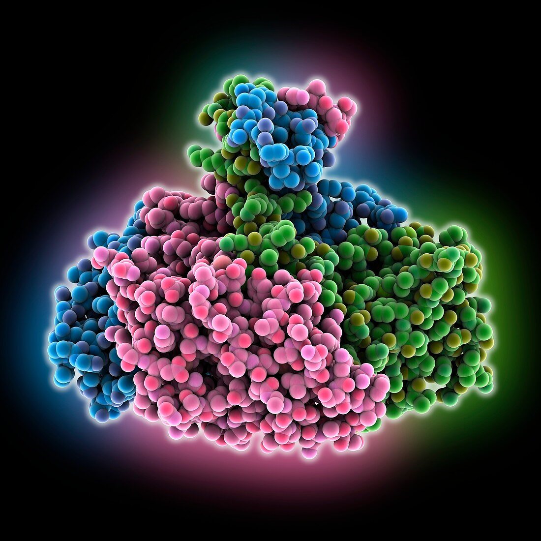 Banna virus outer coat protein, molecular model