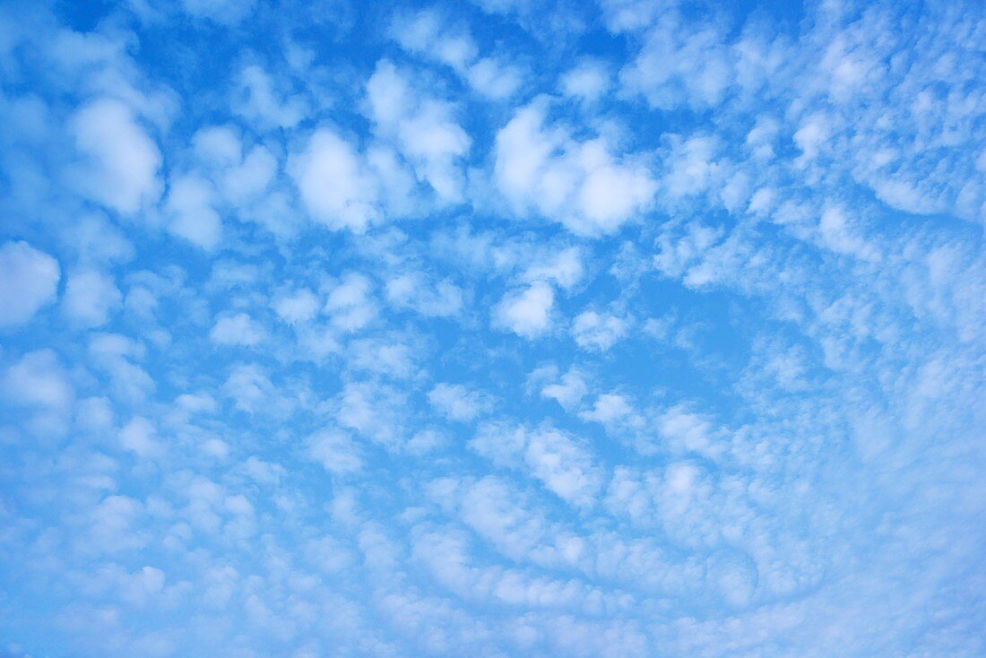 Mackerel clouds