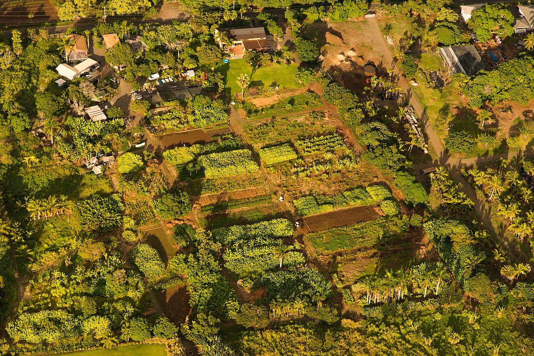 Small-scale tropical farming, aerial photograph