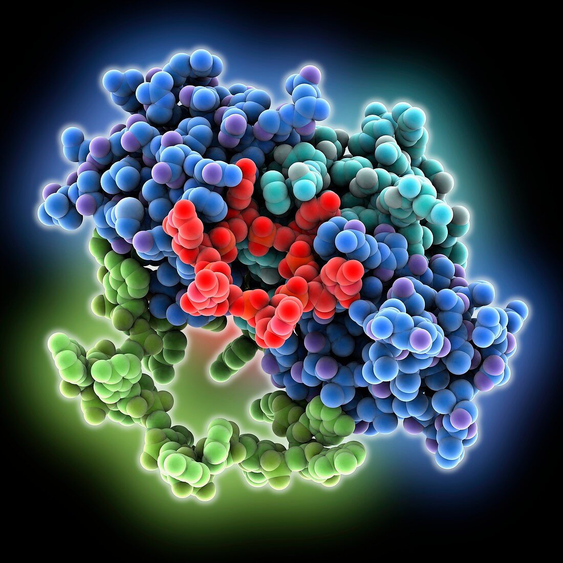 RNA-RNA base stacking, molecular model