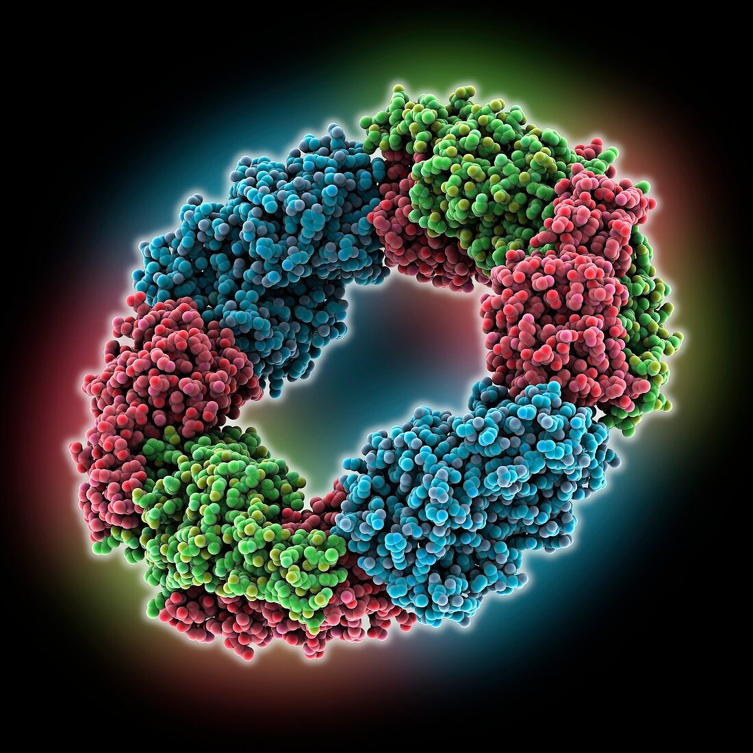 Human peroxiredoxin 3, molecular model