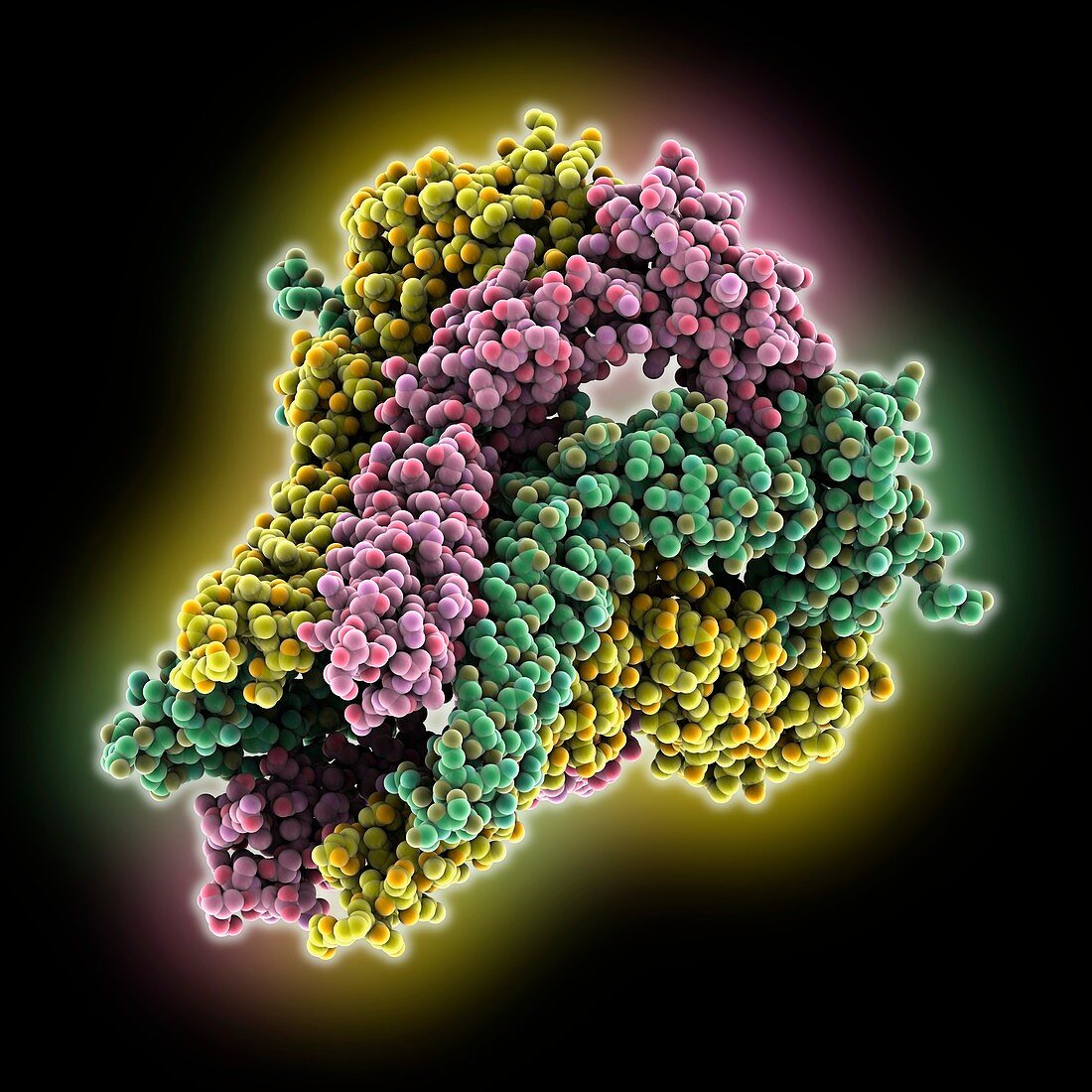 Membrane fusion protein Spr0693, molecular model