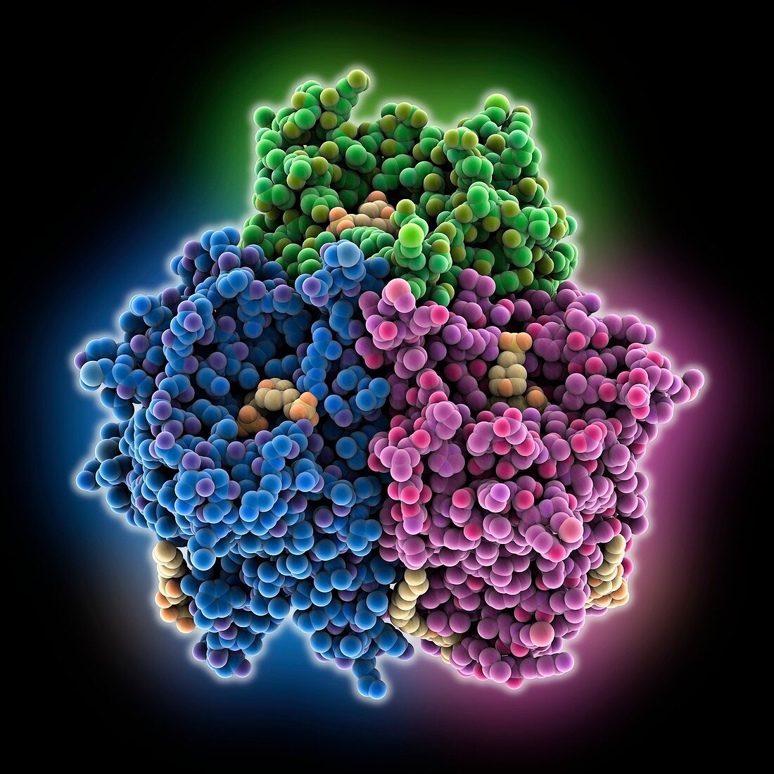 Sensor Amt protein, molecular model