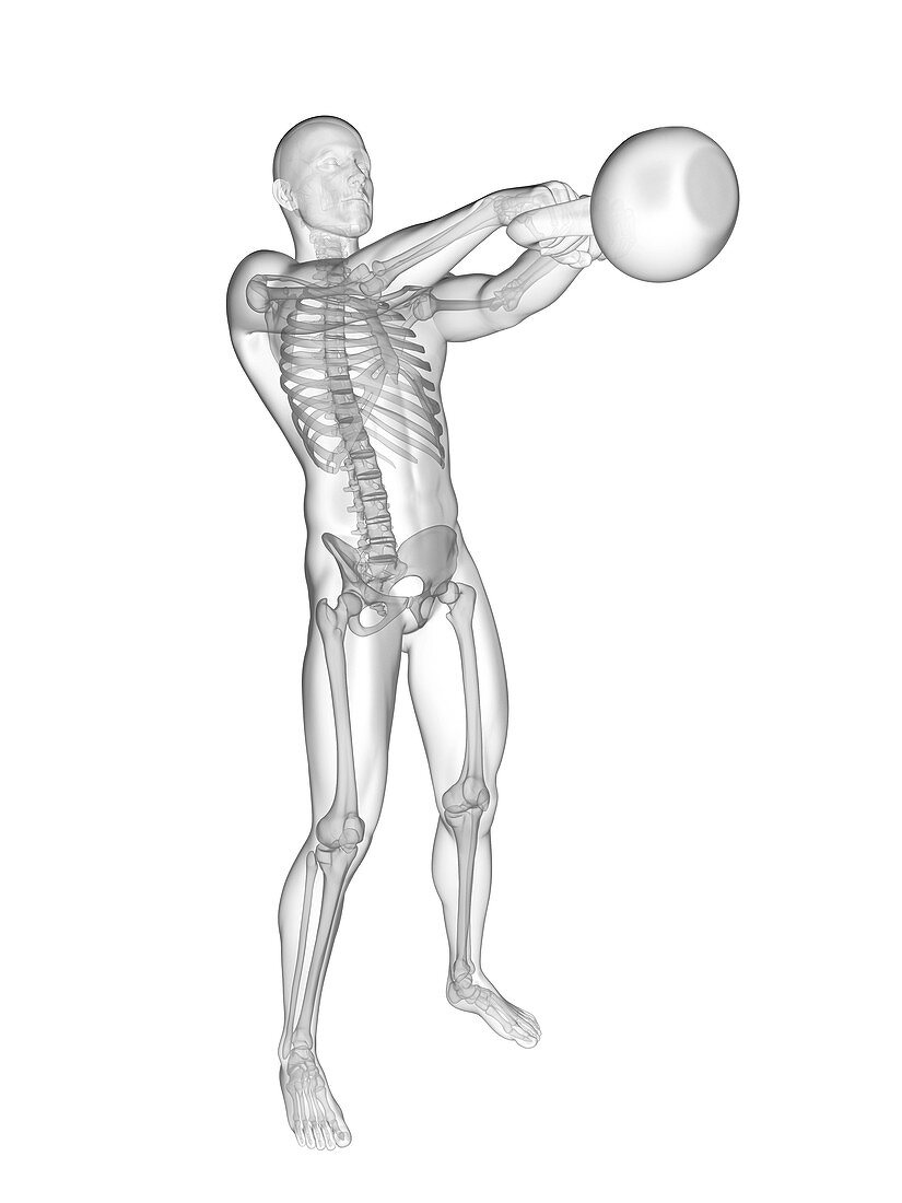 Person swinging kettle bell, skeletal system, illustration