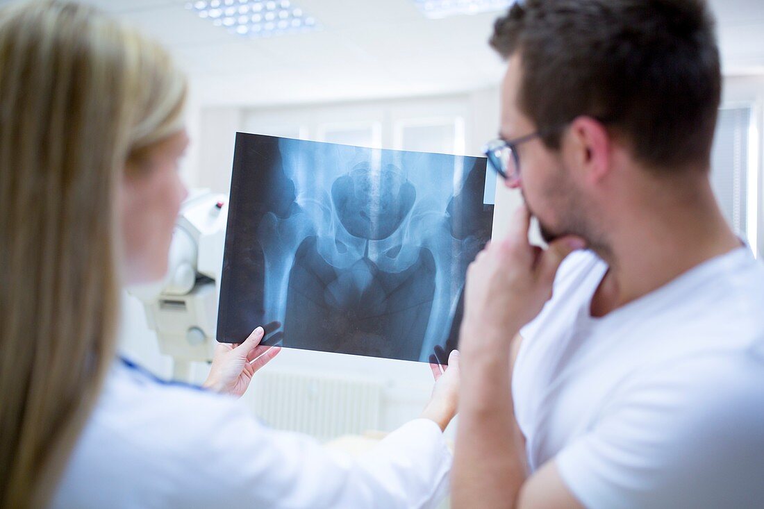 Two doctors holding x-ray of human pelvis