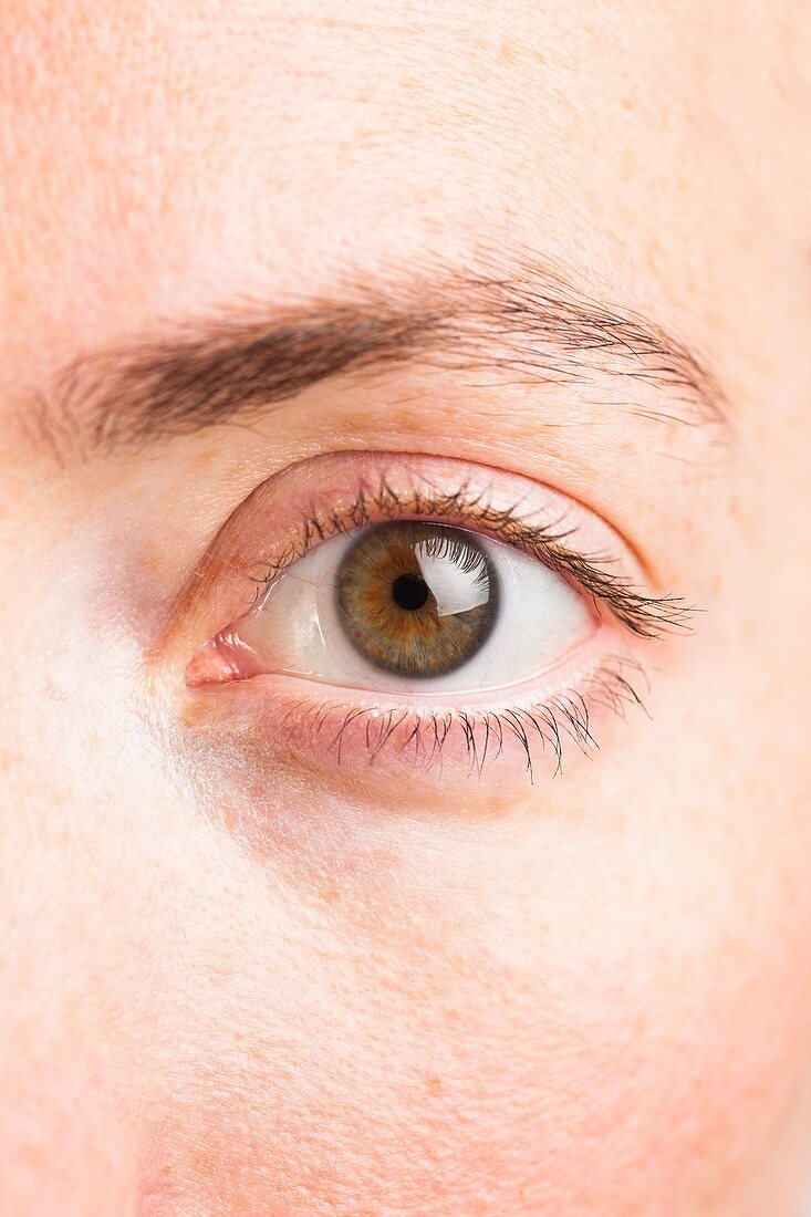 Close-up of woman's green eye