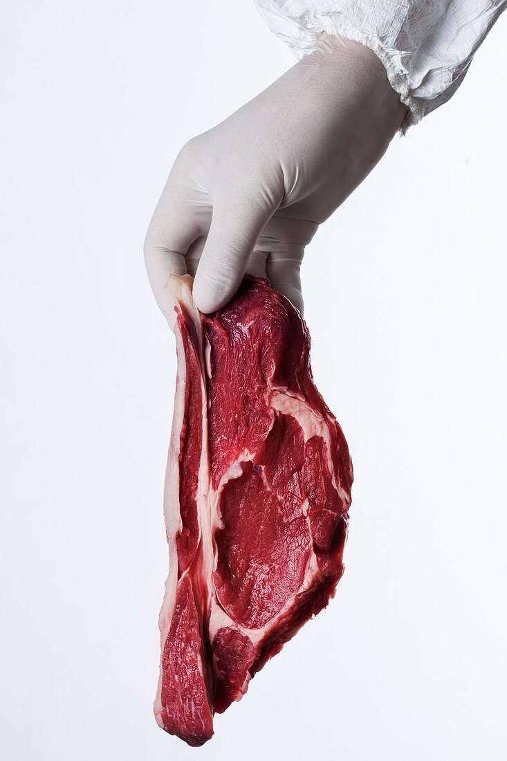 Person holding raw meat