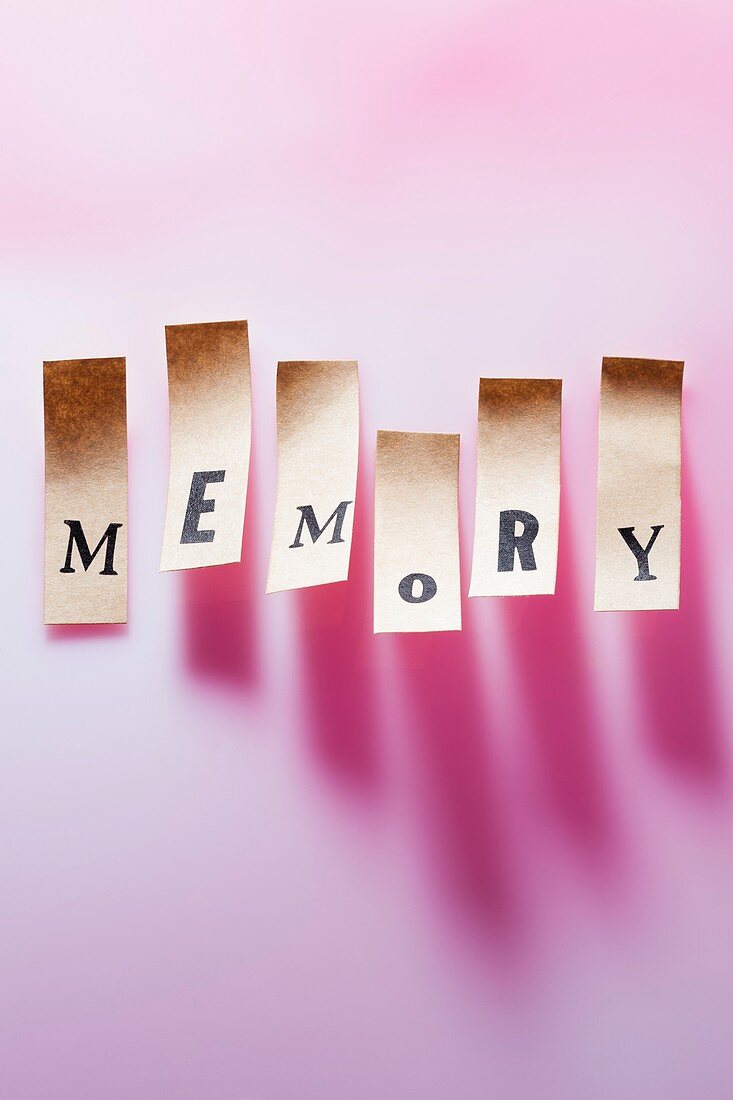 Paper with the word memory