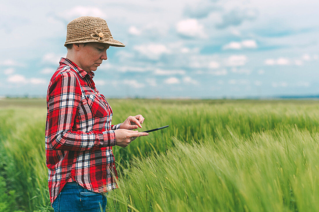 Female farmer using tablet in wheat field