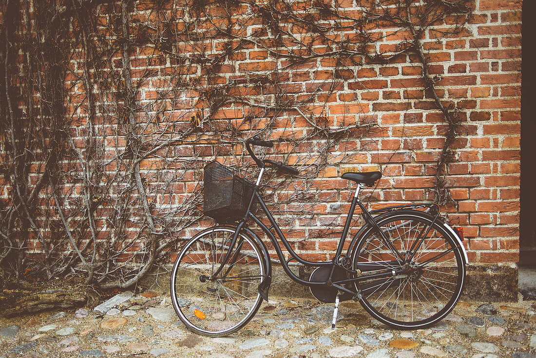 Vintage bicycle leaning against wall