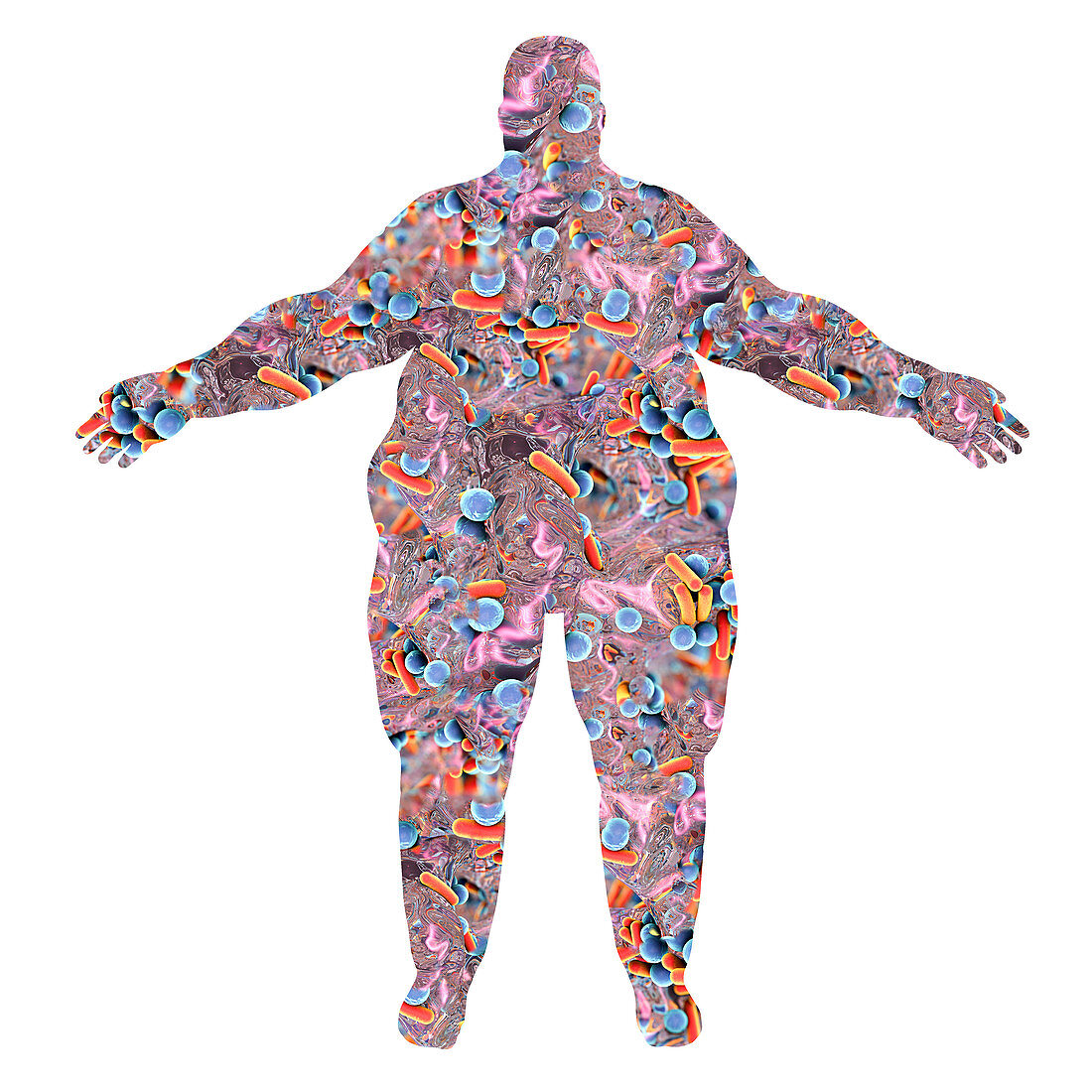 Human microbiome in obese person, illustration