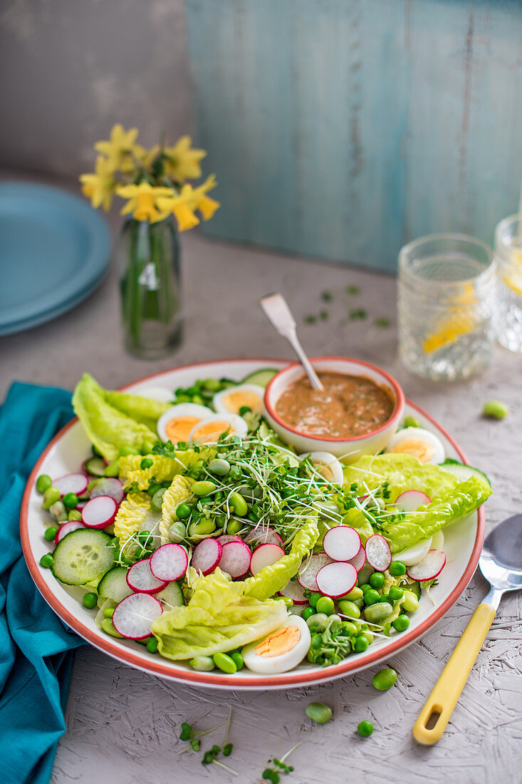 Spring salad with boiled egg, radishes, cress, beans and Nicoise dressing made with anchovies, olive oil and herbs