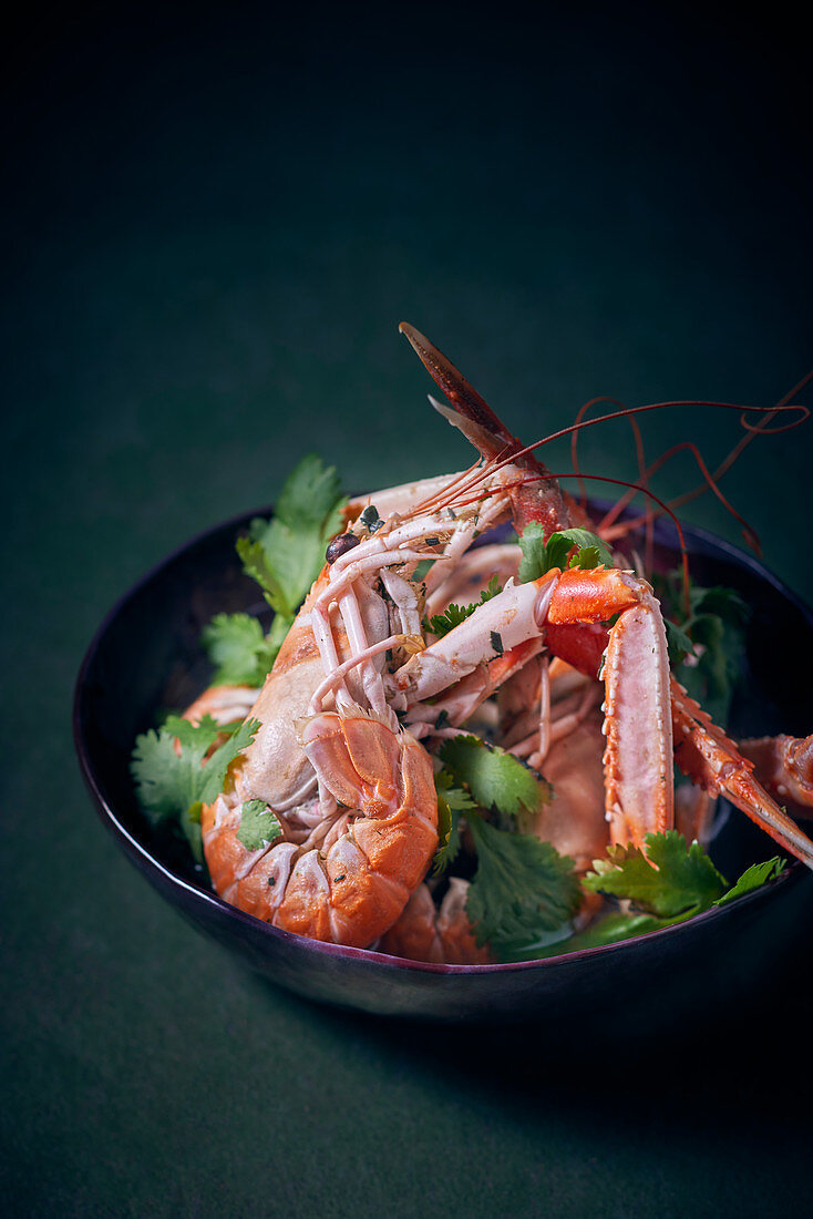 Scampi in a spicy broth with coriander leaves