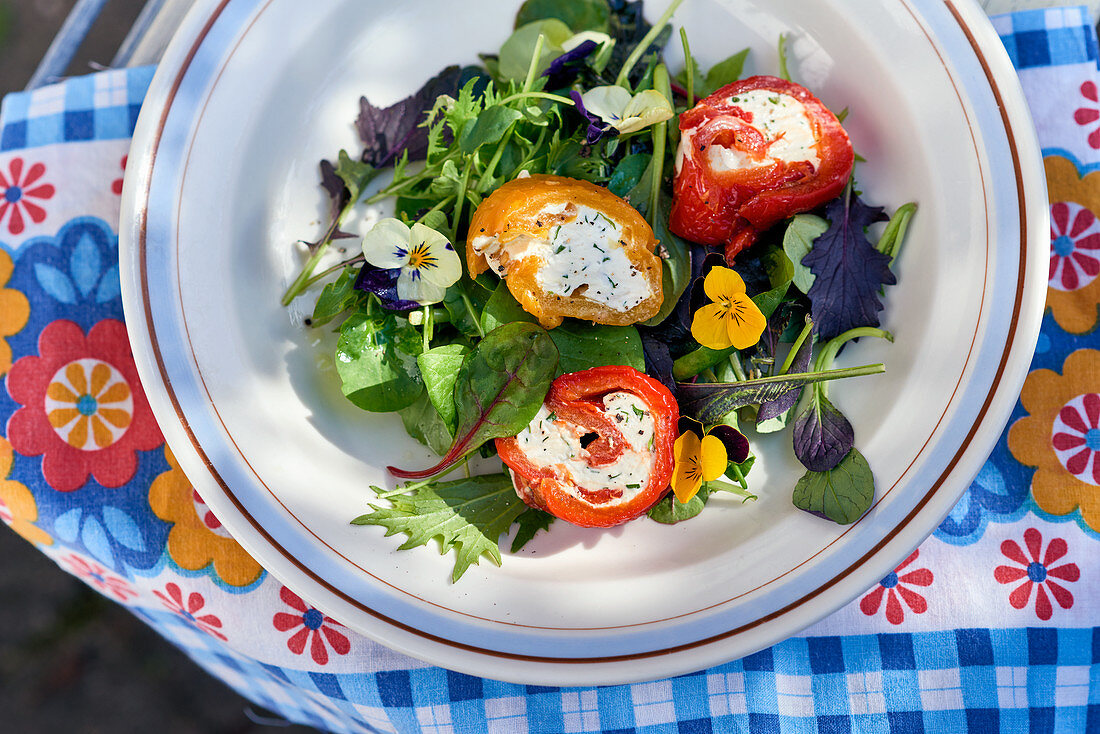 Paprikaröllchen mit Frischkäsefüllung auf Salat