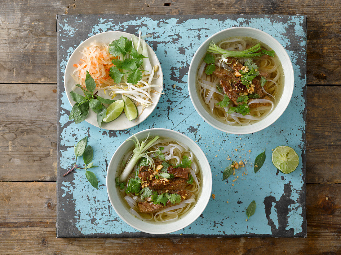 Pho (rice noodle soup with meat, Vietnam)