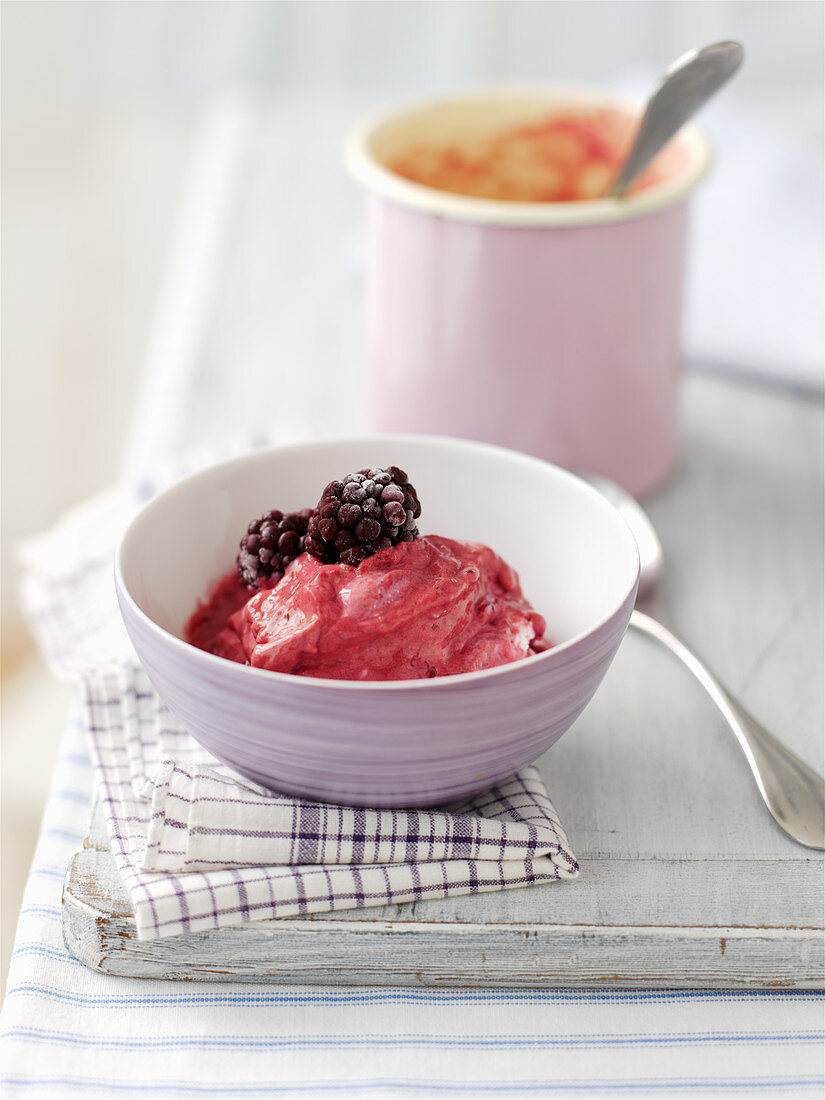 Frozen Joghurt mit Brombeeren