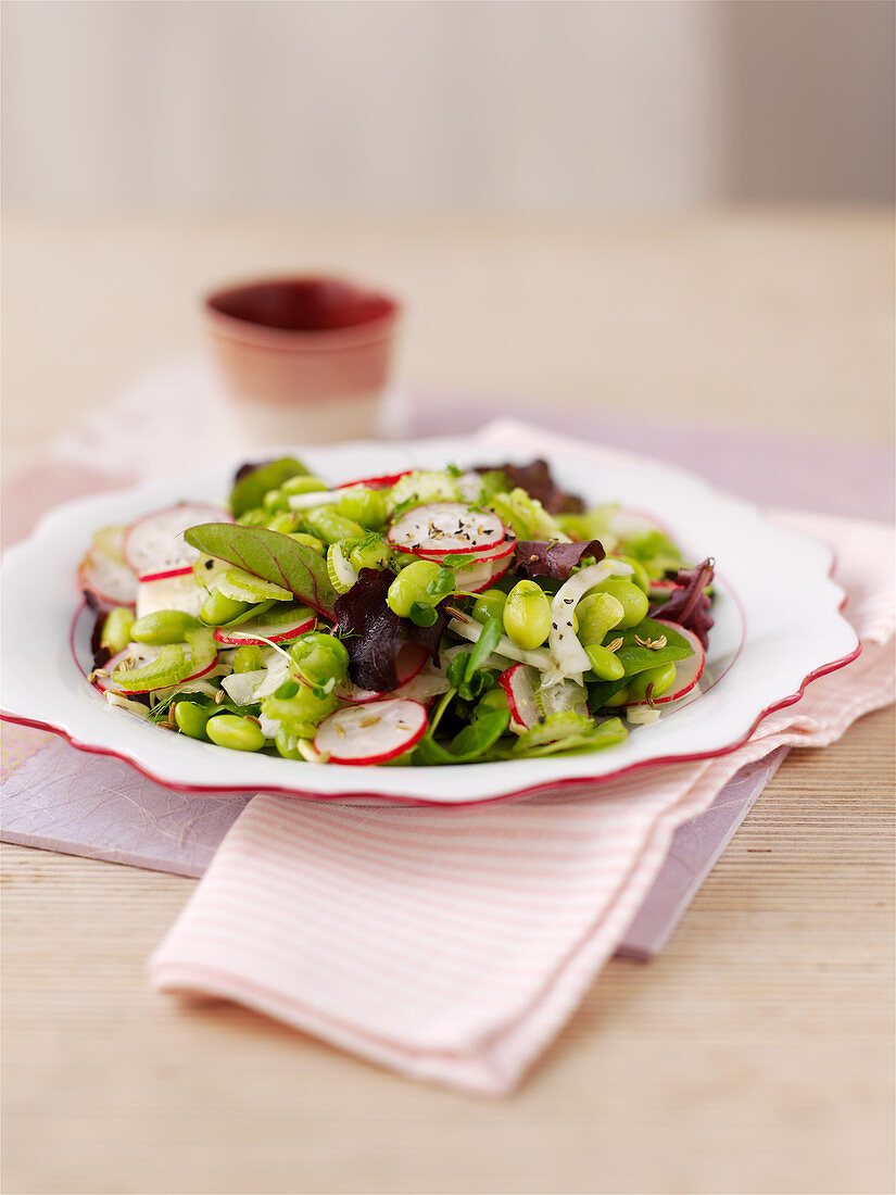 A spring salad with fennel, beans and radishes