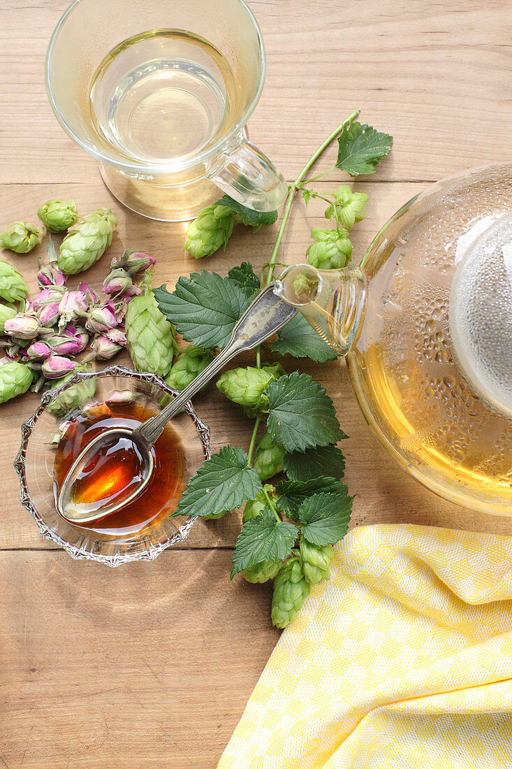 Hopfen-Tee für die Wechseljahre