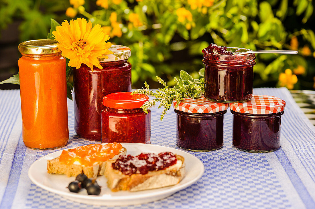 Selbst gemachte Marmeladen in Gläsern und Marmeladenbrot