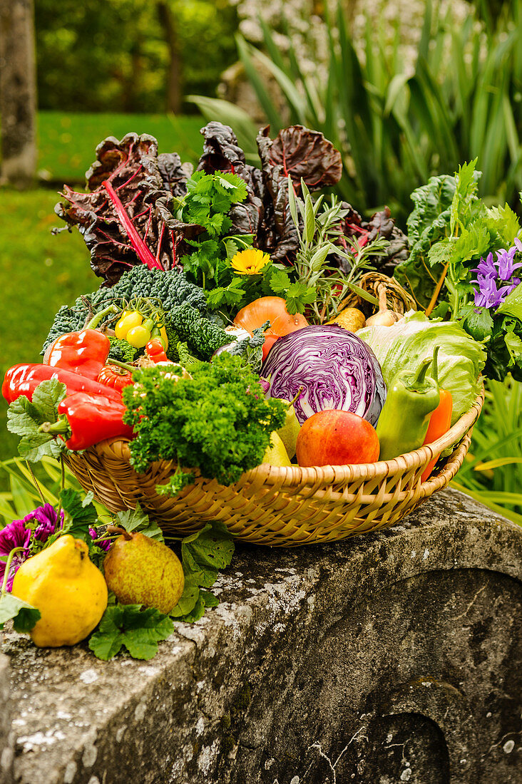 A basket of fruit and vegetables in a garden