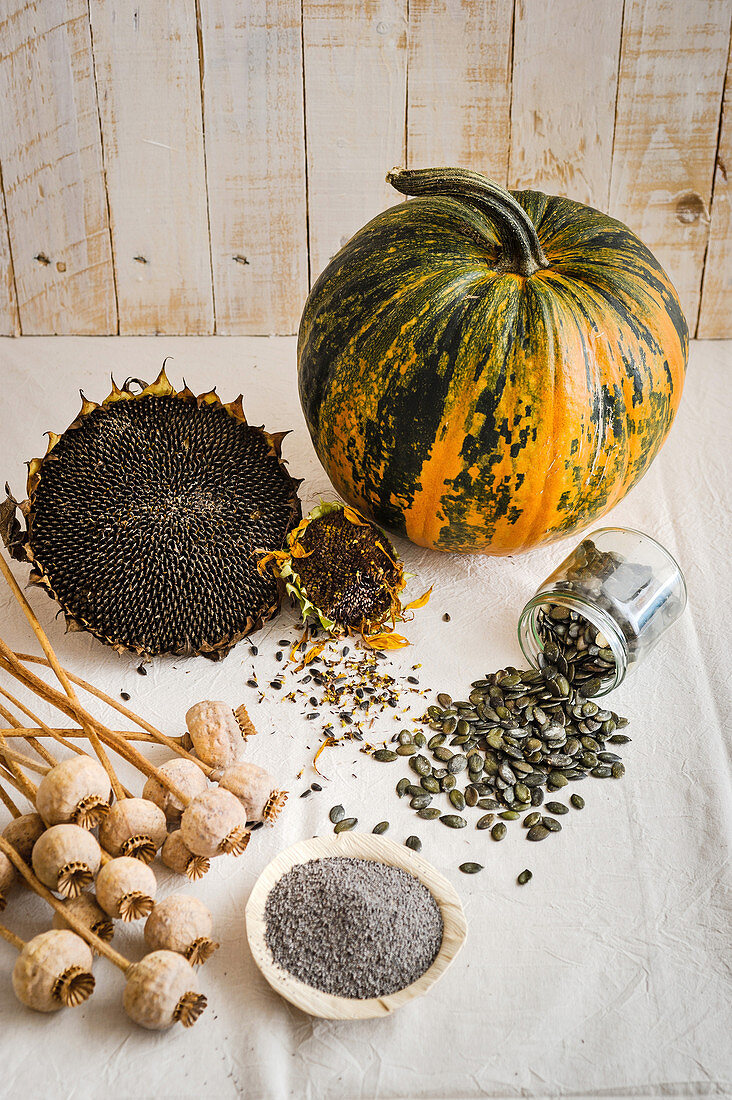 Poppyseeds, pumpkin seeds and sunflower seeds (oleaginous fruit)