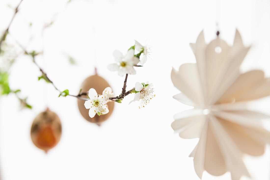 Paper decorations and Easter eggs hung from blossoming fruit branch