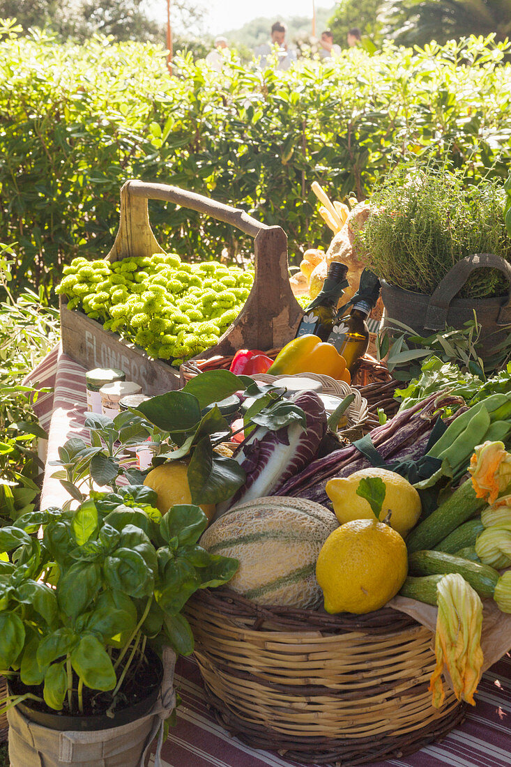 Basket with harvested vegetables and fruit in the garden