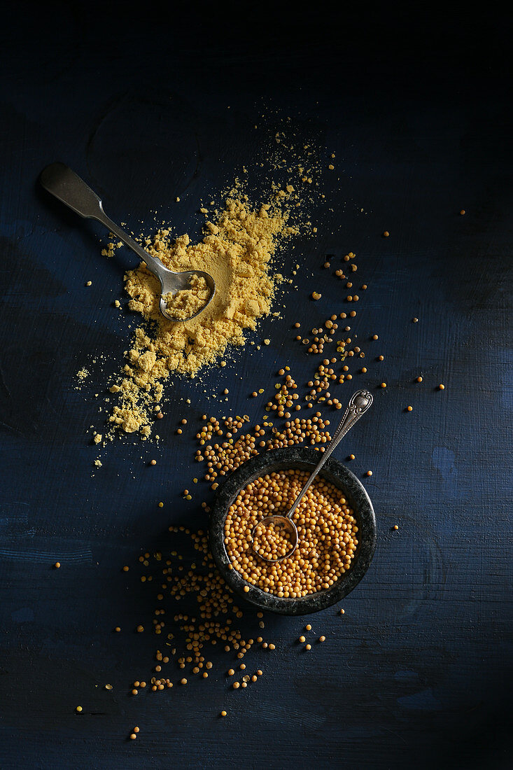 Mustard seeds and mustard powder on a dark background (top view)