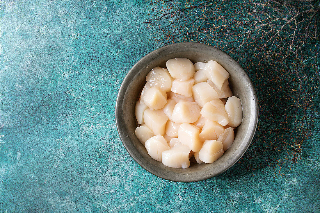 Raw uncooked scallops in vintage metal bowl over turquoise texture background