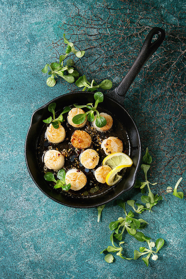 Fried scallops with butter lemon spicy sauce in cast-iron pan served with green salad over turquoise texture background