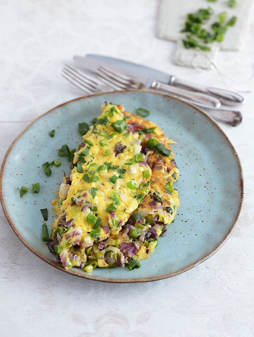 Schnelles Käseomelett mit Frühlingszwiebeln (Low Carb)