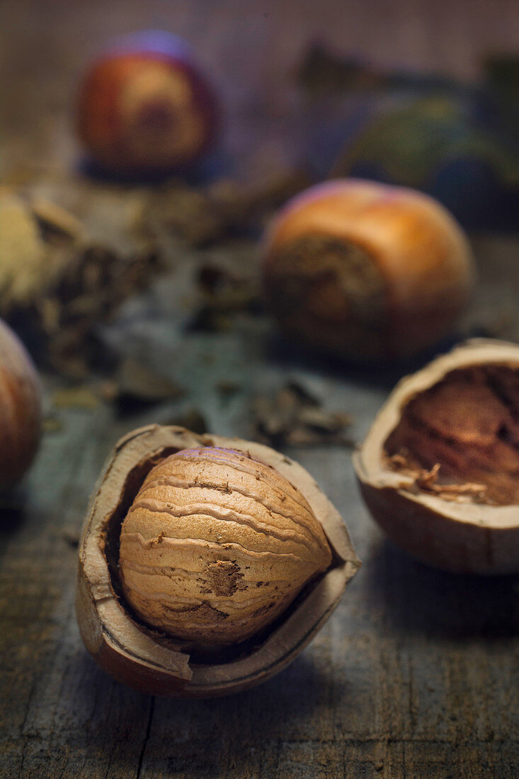Open hazelnuts on wood (Italy, Piedmont)