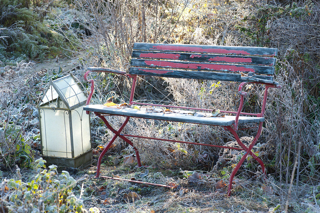 Bench And Lantern In The Frozen Garden