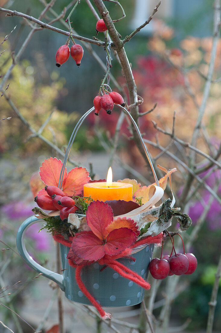 Cup Hung As A Lantern On A Tree, Decorated With Strawberry Leaves