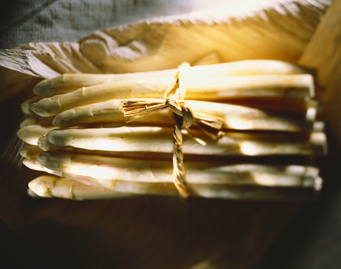 A Tied Bundle of White Asparagus