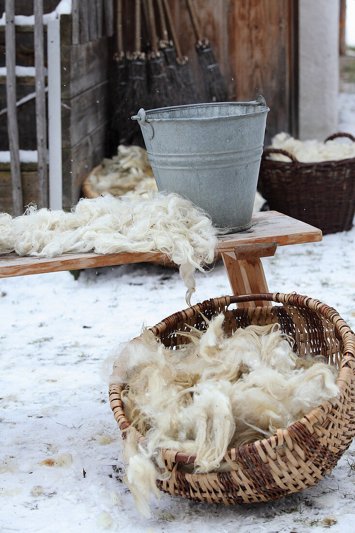 Freshly shorn and cleaned wool in a basket and on a wooden bench