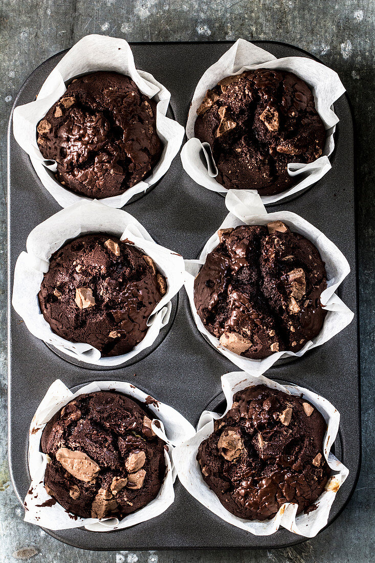Chocolate muffins in a muffin tin