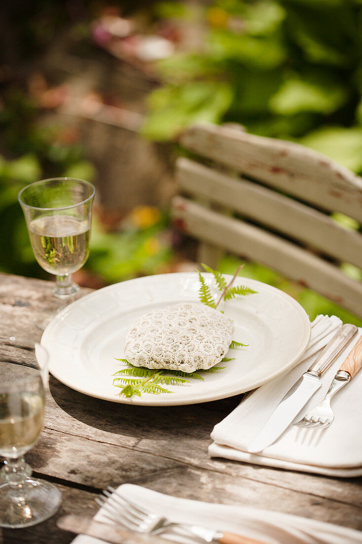 Decorative Coral on Plate