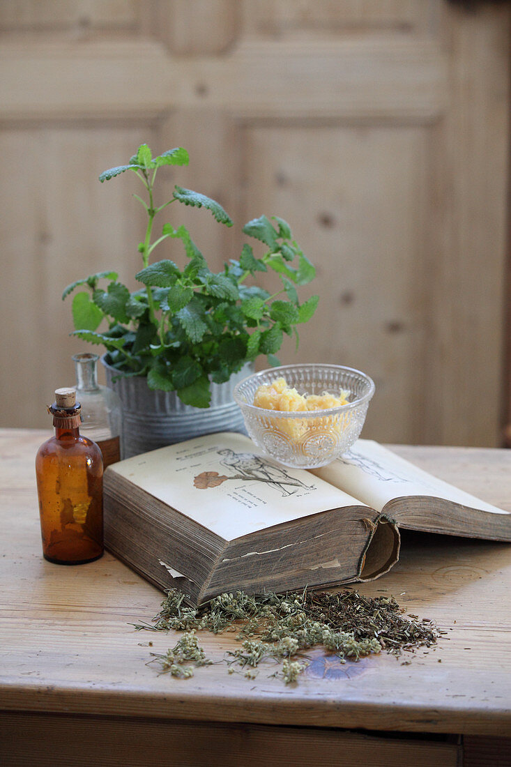 A medical book and ingredients for making lemon balm salve