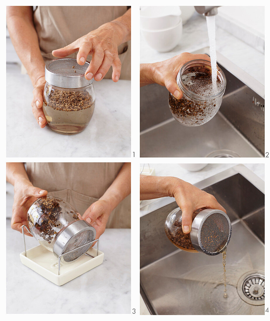 Rote-Bete-Samen zum Keimen in ein Glasbehälter mit Wasser geben