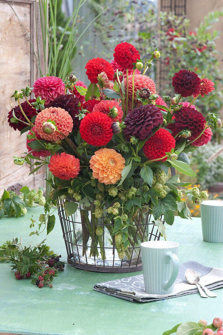 Bouquet Of Dahlias In Reds And Hops