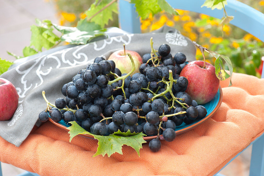 Bowl Of Freshly Picked Grapes And Apples