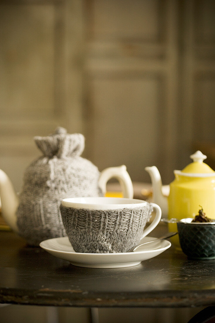 Teacup and teapot with knitted covers