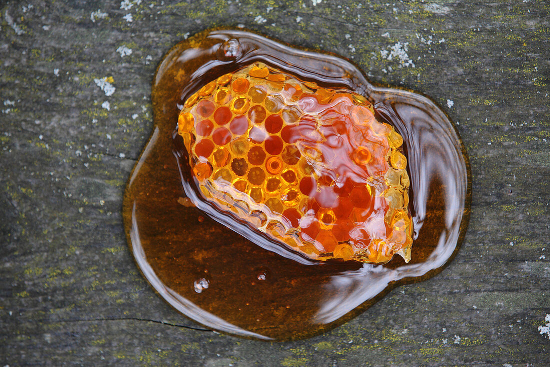 Honeycomb in liquid honey