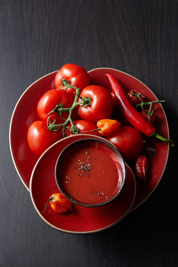 Tomatensuppe mit frischen Tomaten, Chillis und Paprika