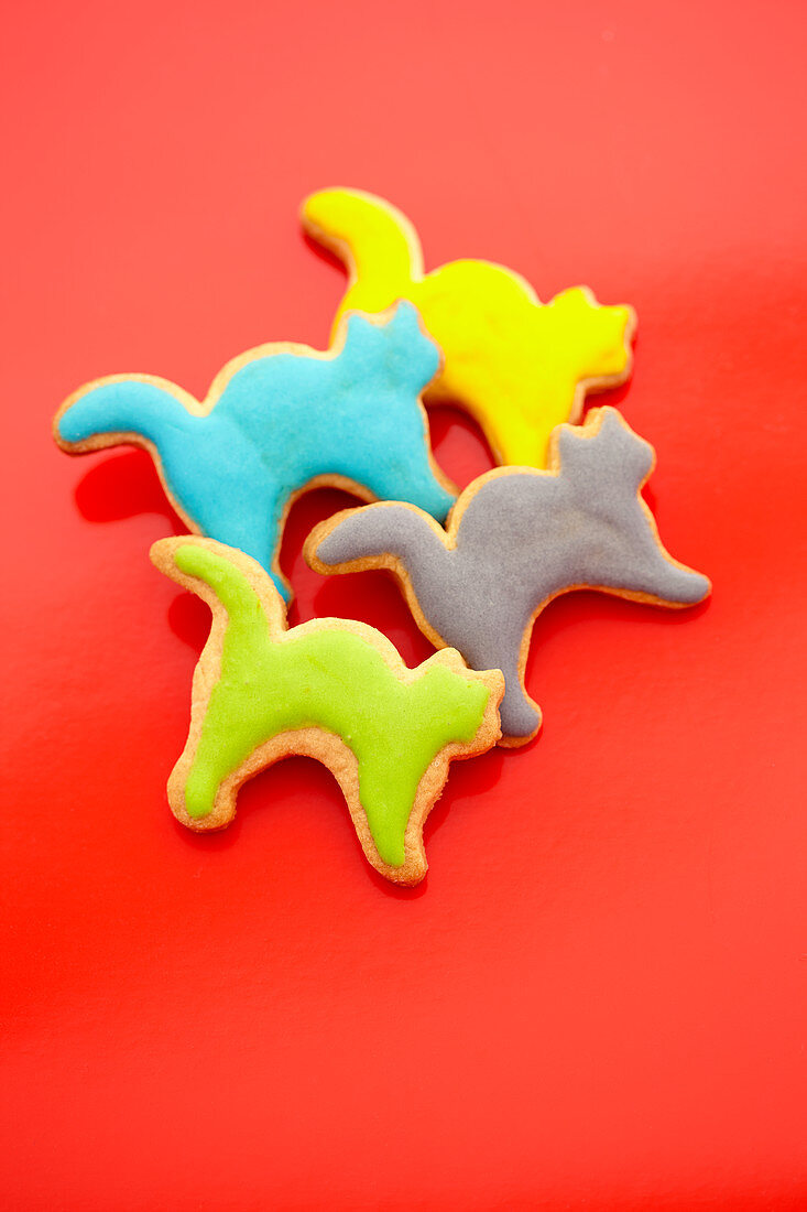 Cat shaped biscuits with colorful icing in front of a red background