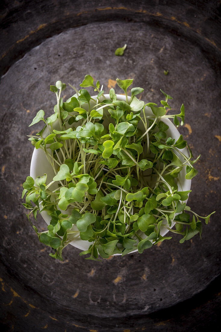 Cress from Top on a metal plate