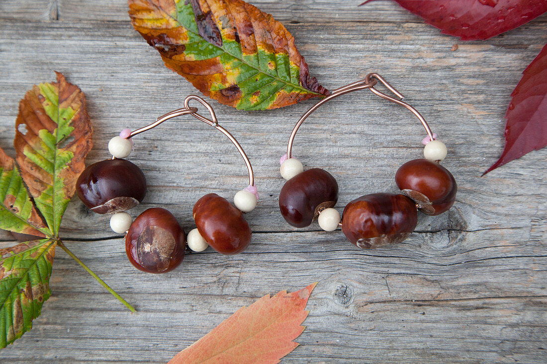 Napkin rings handmade from horse chestnuts